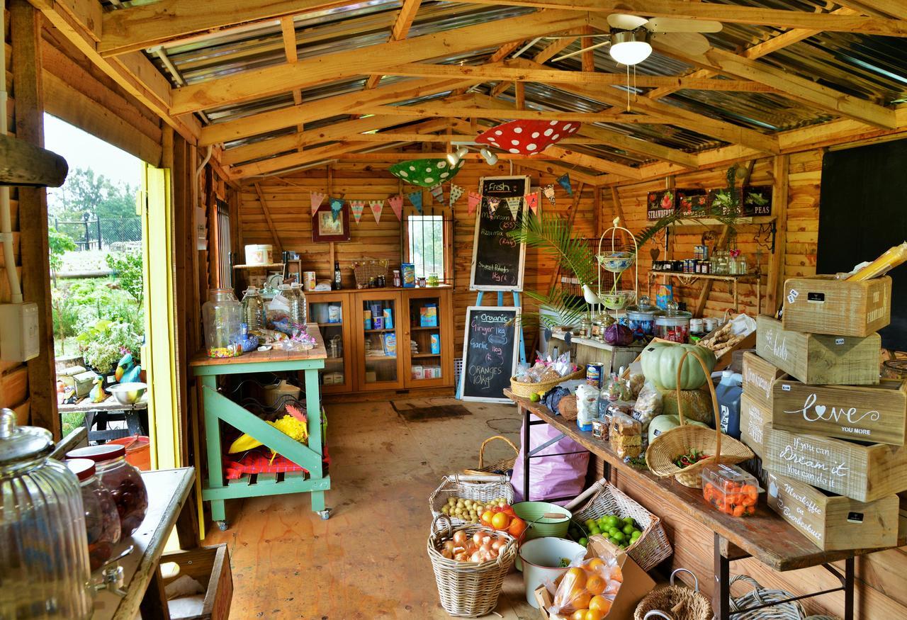 Anna Beulah Farm Villa Durbanville Kültér fotó